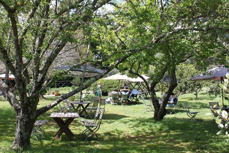 895 State Highway 25 Waitakaruru_23