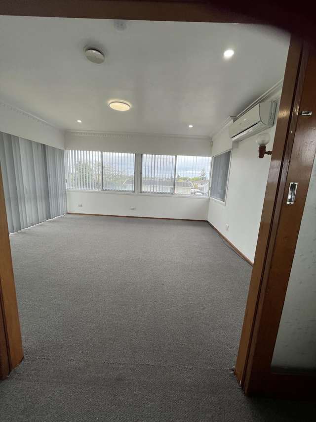 165 Hilllside Road Papatoetoe_4