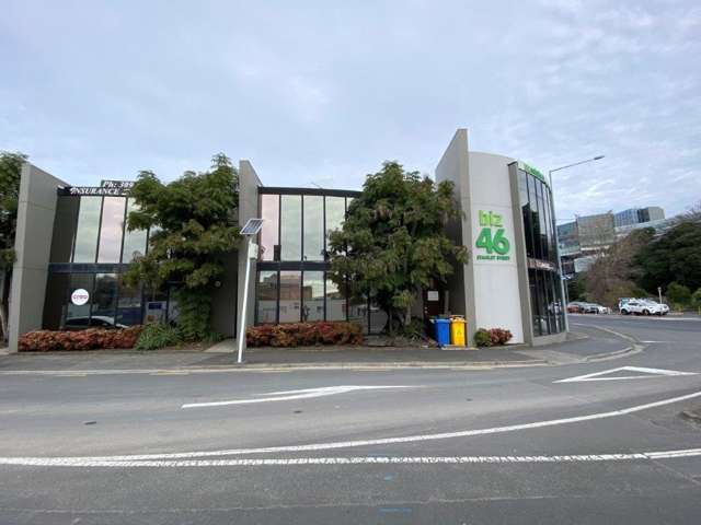 46 Stanley Street Parnell_1