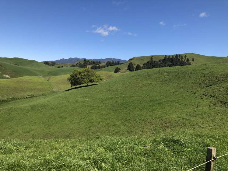 1026 Limeworks Loop Road Karamu_14