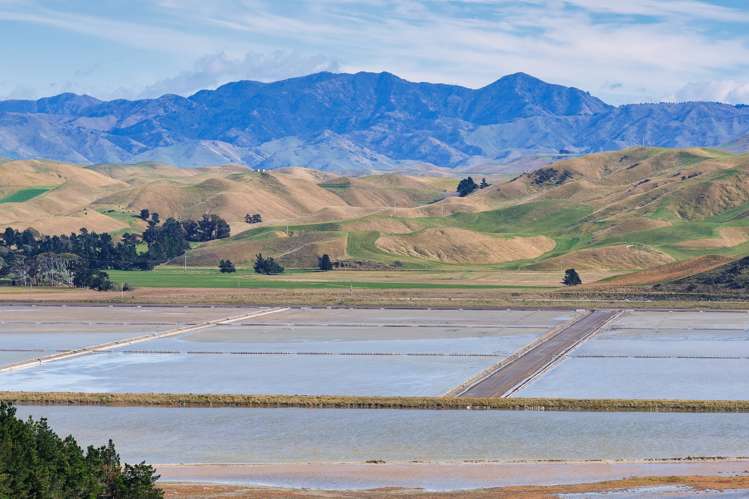 Corner Marfells Beach and Clifford Roads Lake Grassmere_14