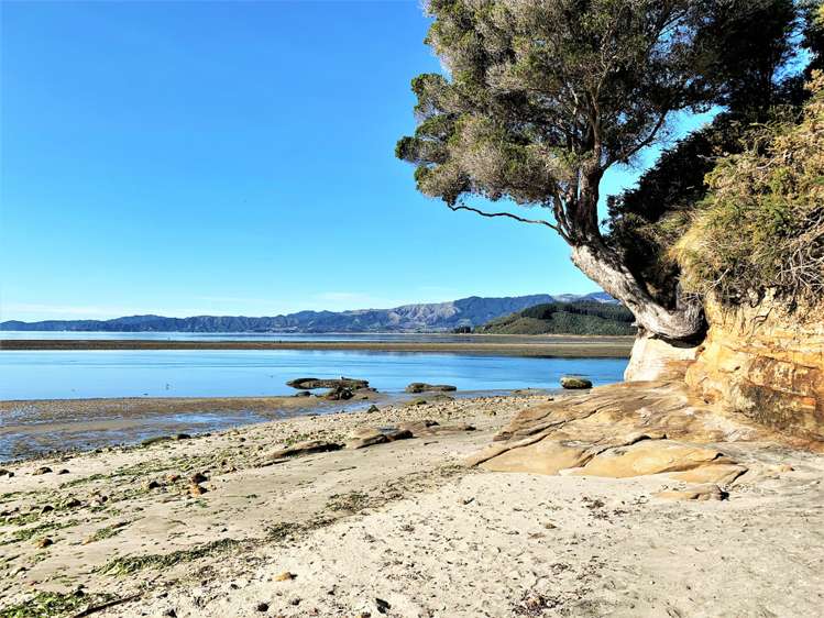 19 Charlett Point Road Kahurangi National Park_14