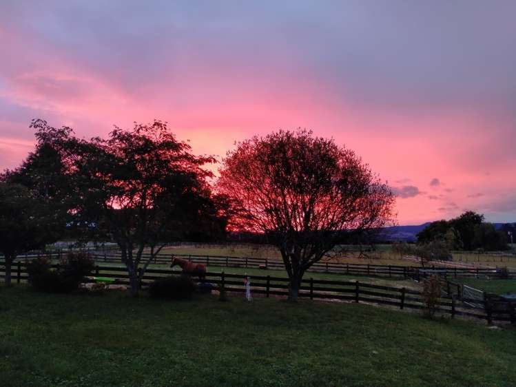 207b Peers Road Kaimai_24