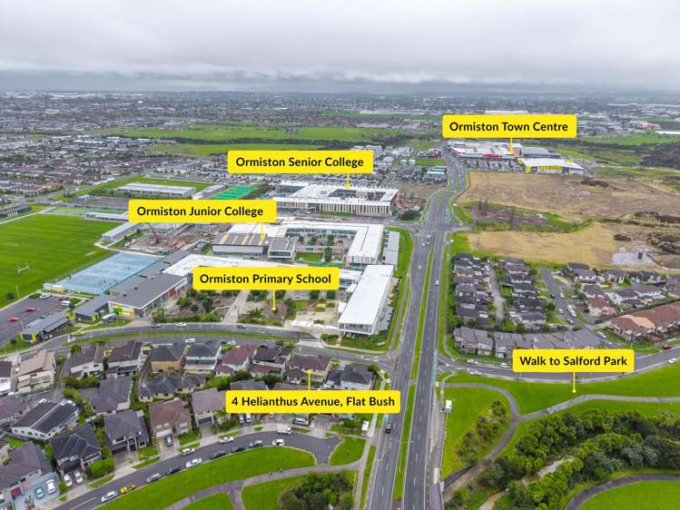 4 Helianthus Avenue Flat Bush_24