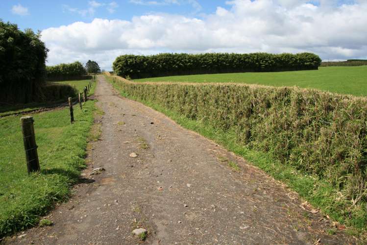 1996 Egmont Road Inglewood_4