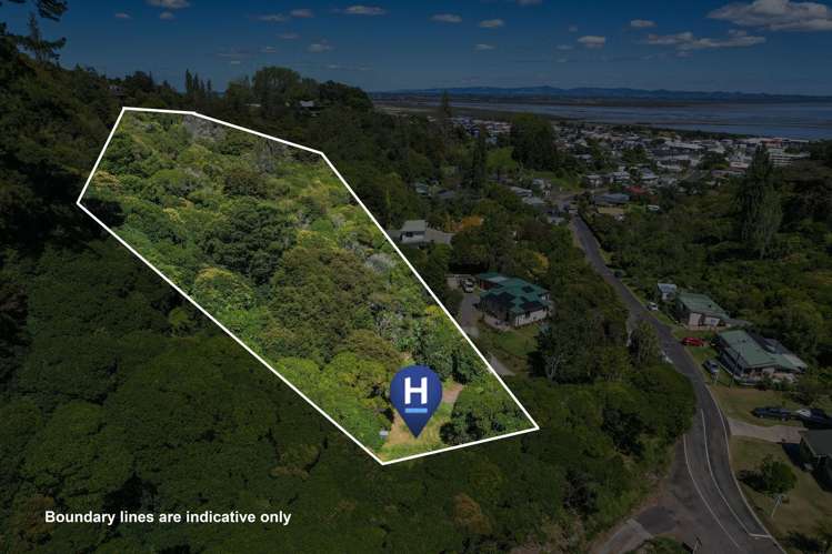 406 Karaka Road Thames_7