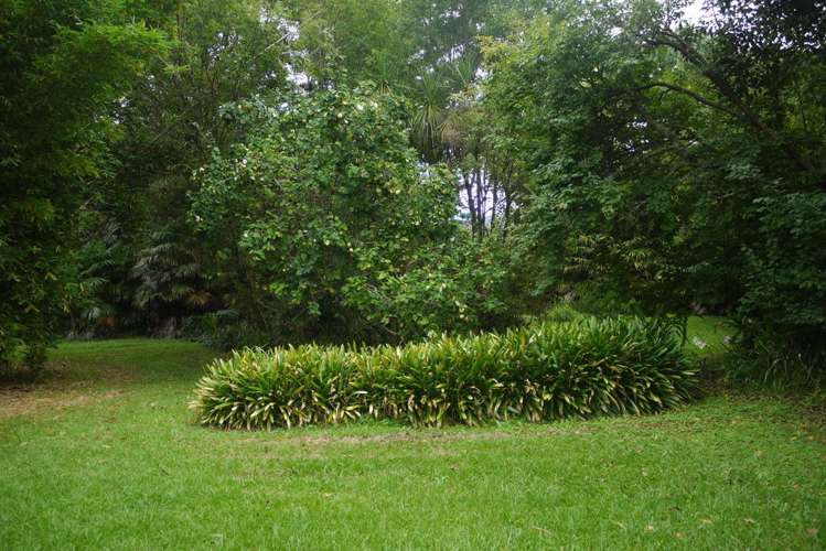 1116 Leigh Road Matakana_15