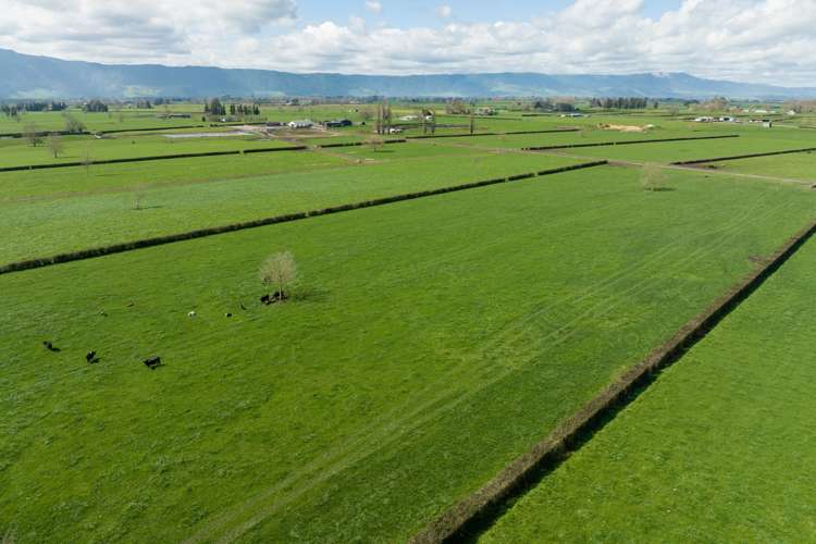 Alexandra Road Waharoa_12