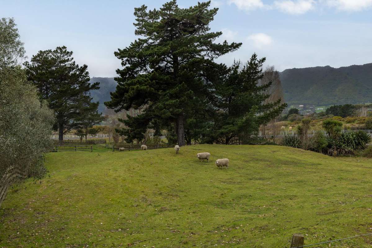 Lot Lots 2, 4, 5, 6/31 End Farm Road_4