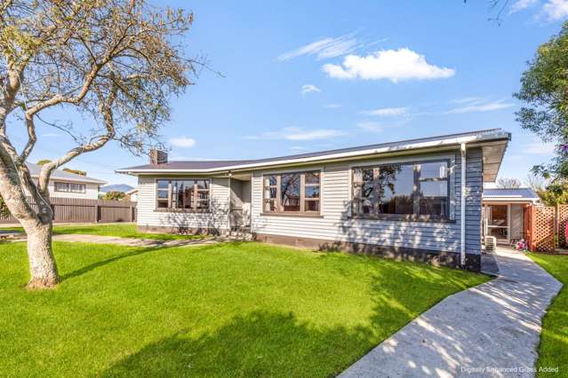 13 Mako Mako Road Levin_1