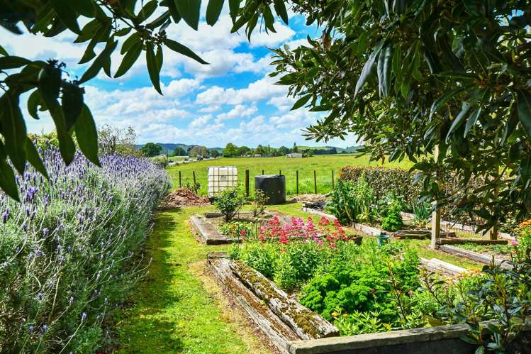 2086 State Highway 2 Maramarua_19