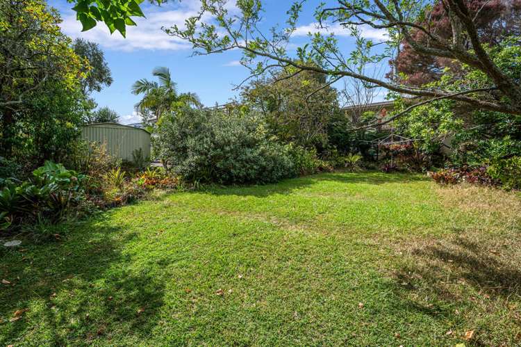 59 Webster Avenue Mount Roskill_6