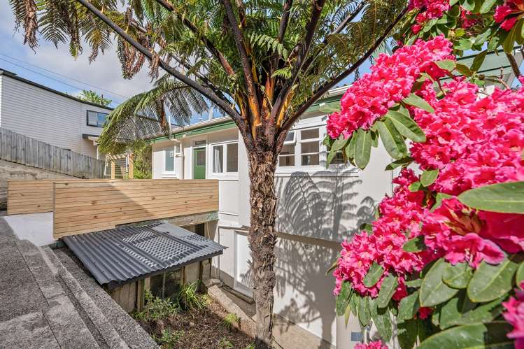 92 Fraser Avenue Johnsonville_3