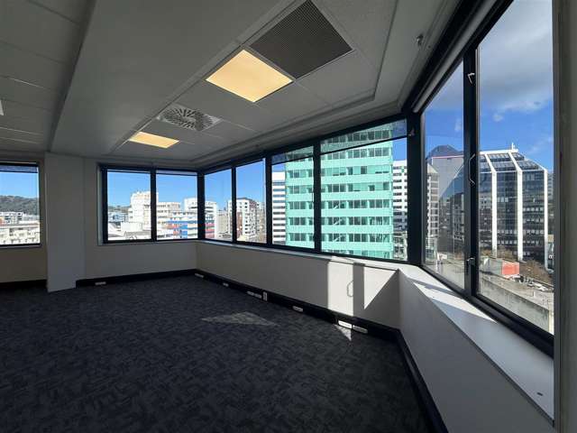 Level 8, 86 Victoria Street Te Aro_4