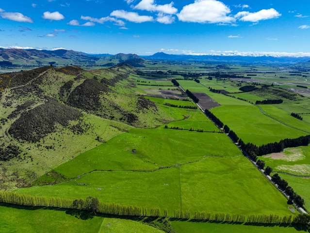 Entry Level Farm with Dairy Grazing Consent