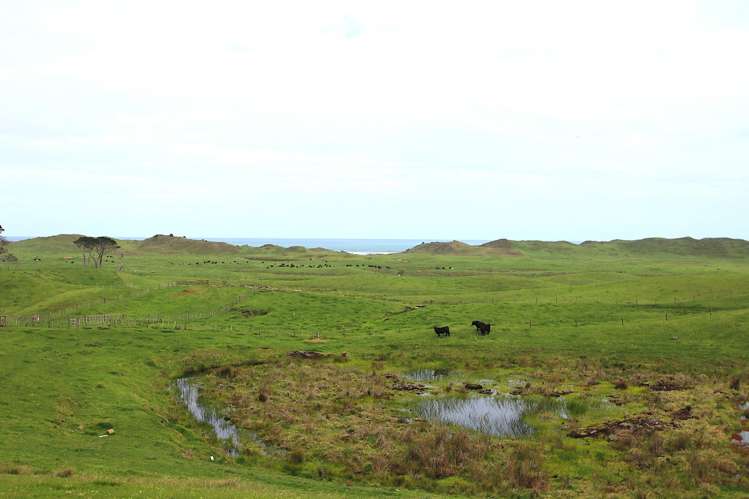 Sandhills Road Ahipara_18