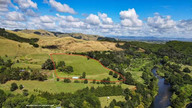 Blank Canvas in the Karangahake Gorge