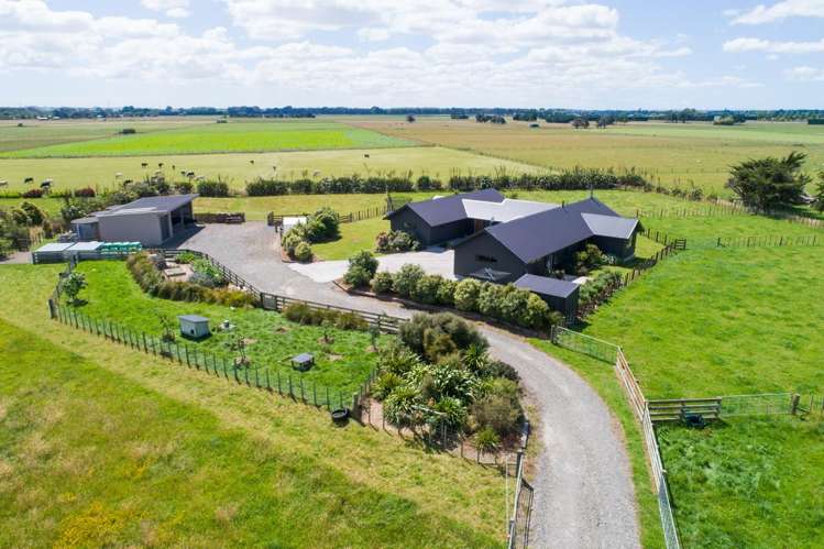 407 Taonui Road Feilding_4
