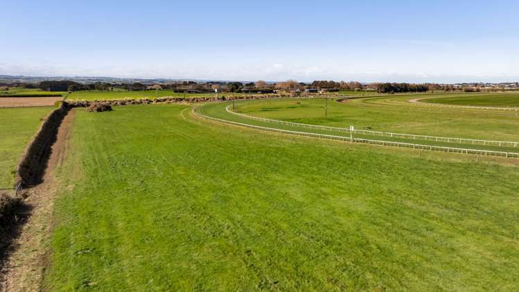 Waihi Road Hawera_11