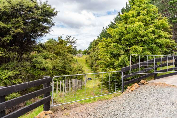 827 Tinopai Road Tinopai_26