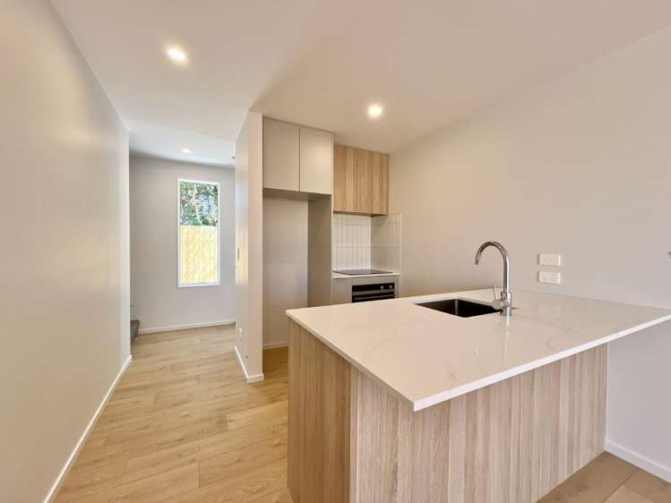 3/9 Winsor Crescent Spreydon_4