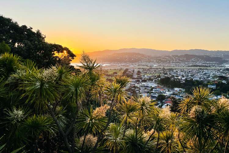 27 Beacon Hill Road Strathmore Park_10