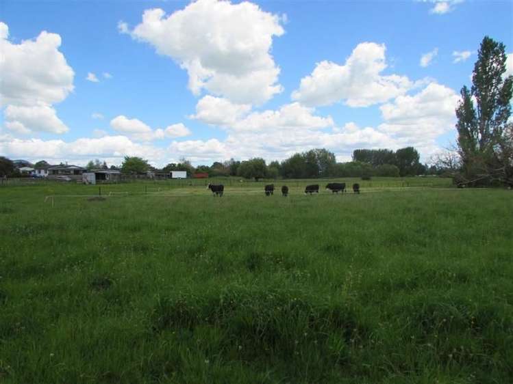 961 Park Road Te Awamutu_9