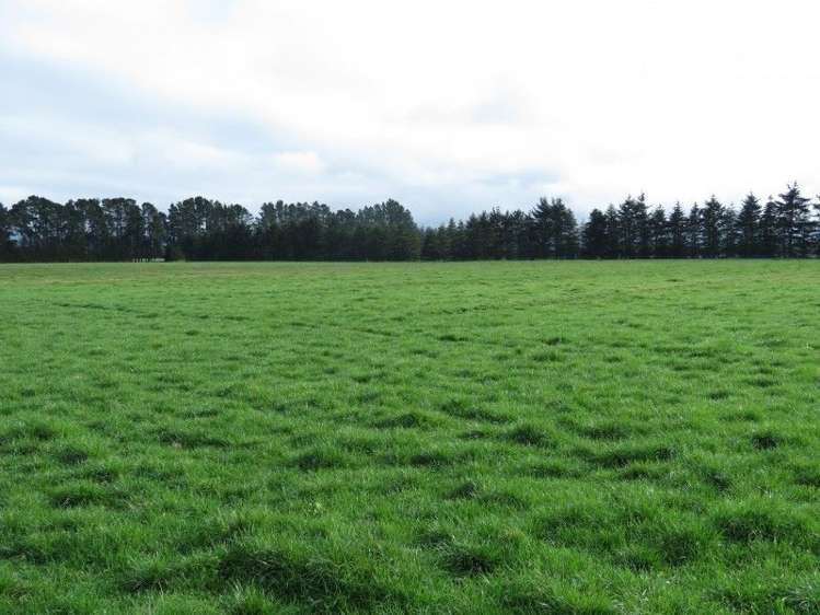 293 Hackthorne Road Carew_18