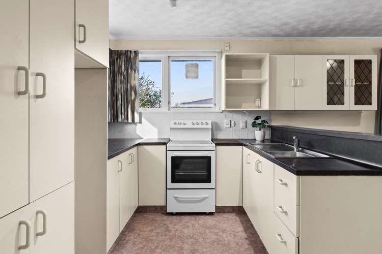 24 Salisbury Avenue Tamatea_3