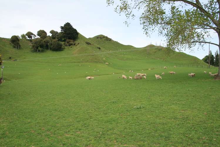 1756 Rawhitiroa Road Eltham_7