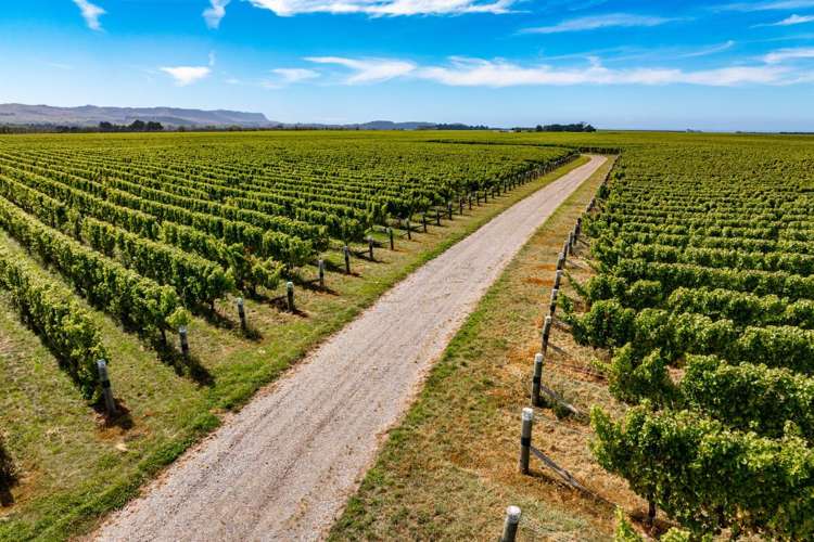 1 Wairau Plains Renwick_8