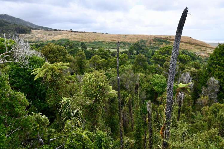 904 Karamea Kohaihai Road Karamea_36