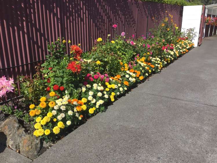 16 Landsdowne Terrace Cashmere_21