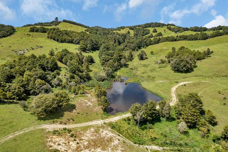 123 Homackey Road Matakohe_8