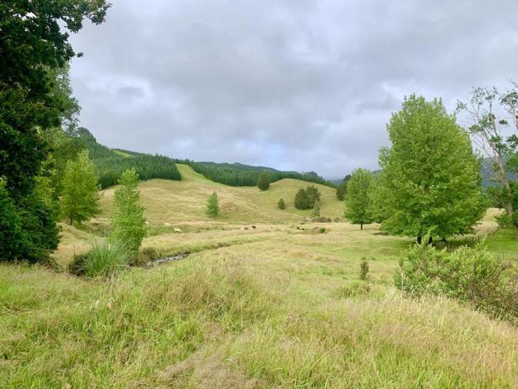 1819 Mataraua Road Kaikohe_32