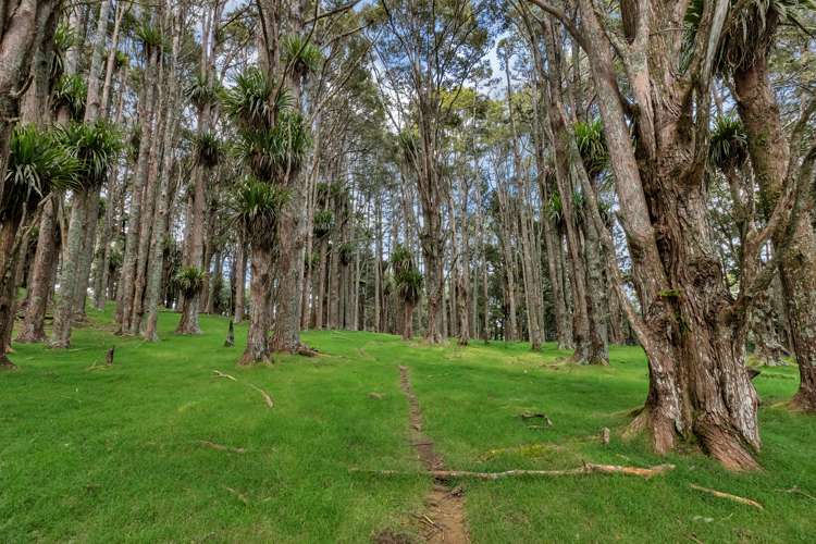 Lot 2, 106 Totara Park Lane Glenbervie_4