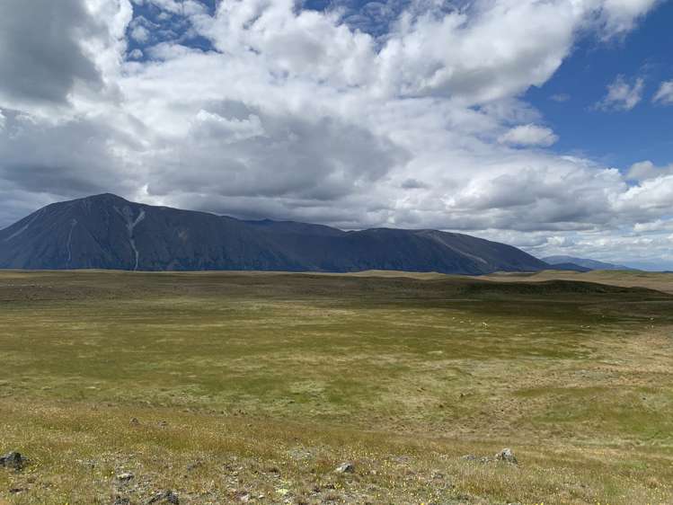 Lagoon Block, Ohau Downs Station Lake Ohau_18