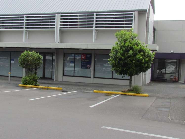 272 Broadway Avenue Palmerston North Central_5