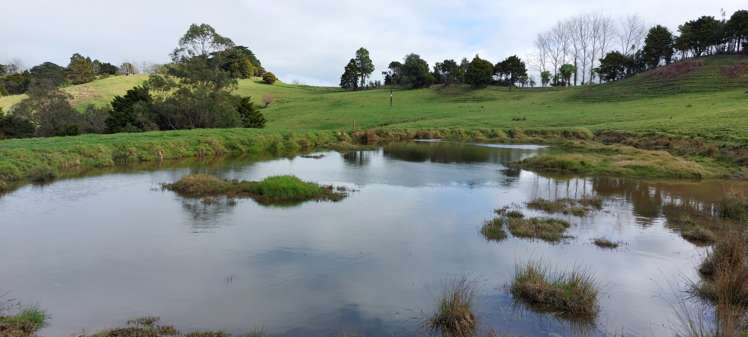 Lot/5 Wearmouth Road Paparoa_8