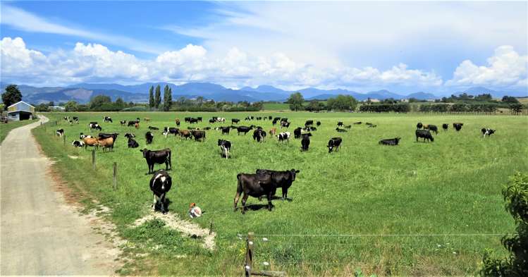 24 Greenacres Road North Redwood Valley_1