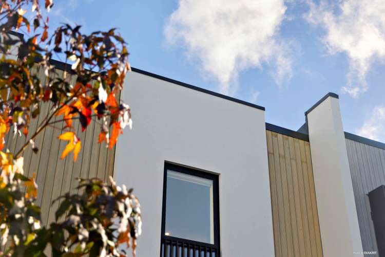 31 Hadlow Terrace Grey Lynn_10