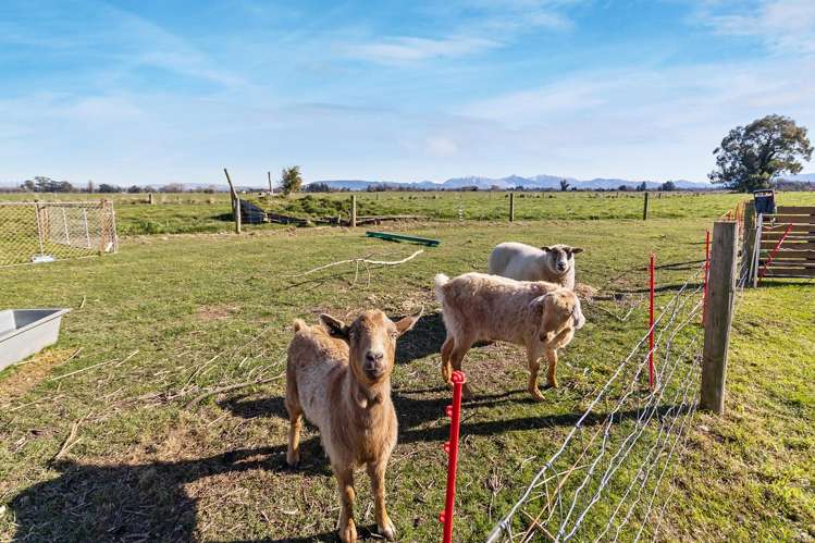 15 Stewart Road Orari_10