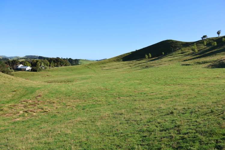 98 Millstream Road Dannevirke_0