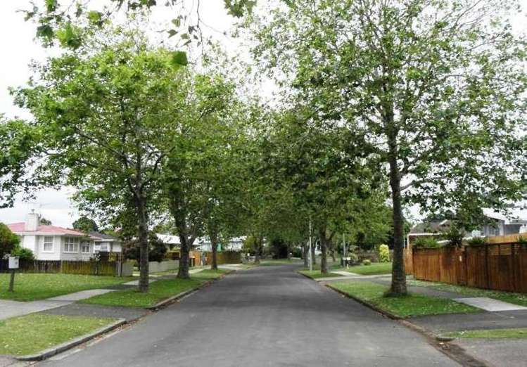 18 Mcshane Street Pukekohe_11