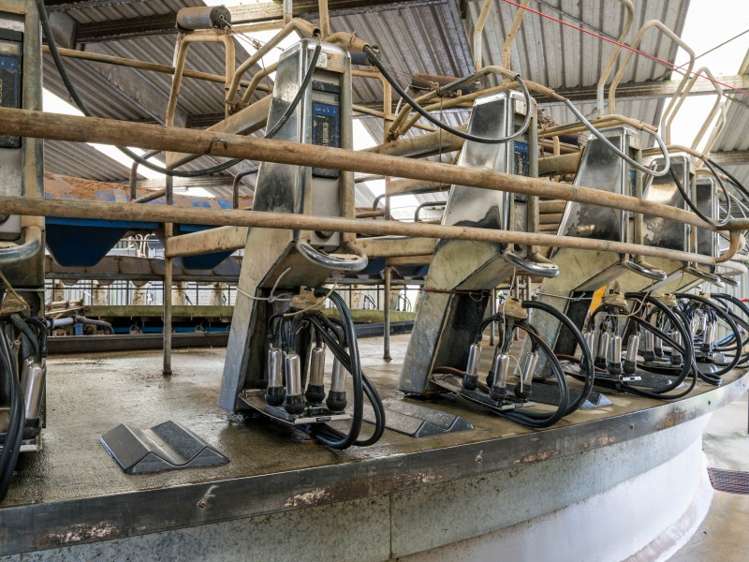 1427 Mititai Road Arapohue_7