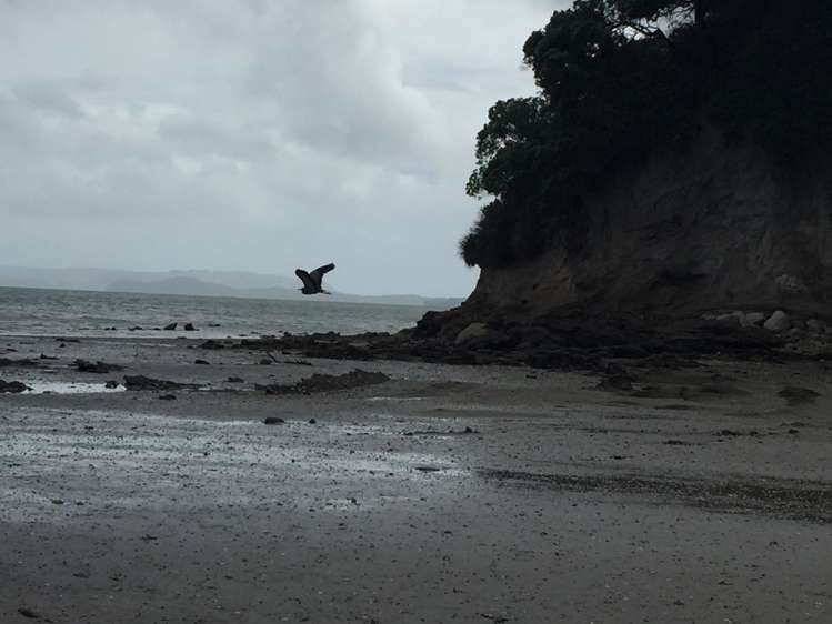 30 Lynbrooke Avenue Blockhouse Bay_27