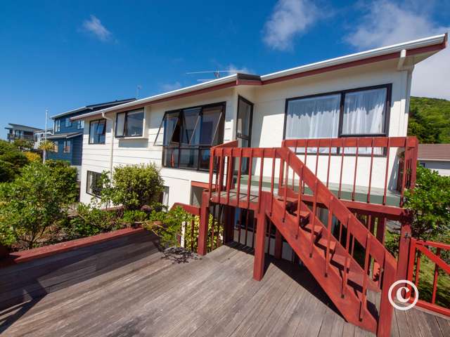 40a Mclintock Street Johnsonville_1