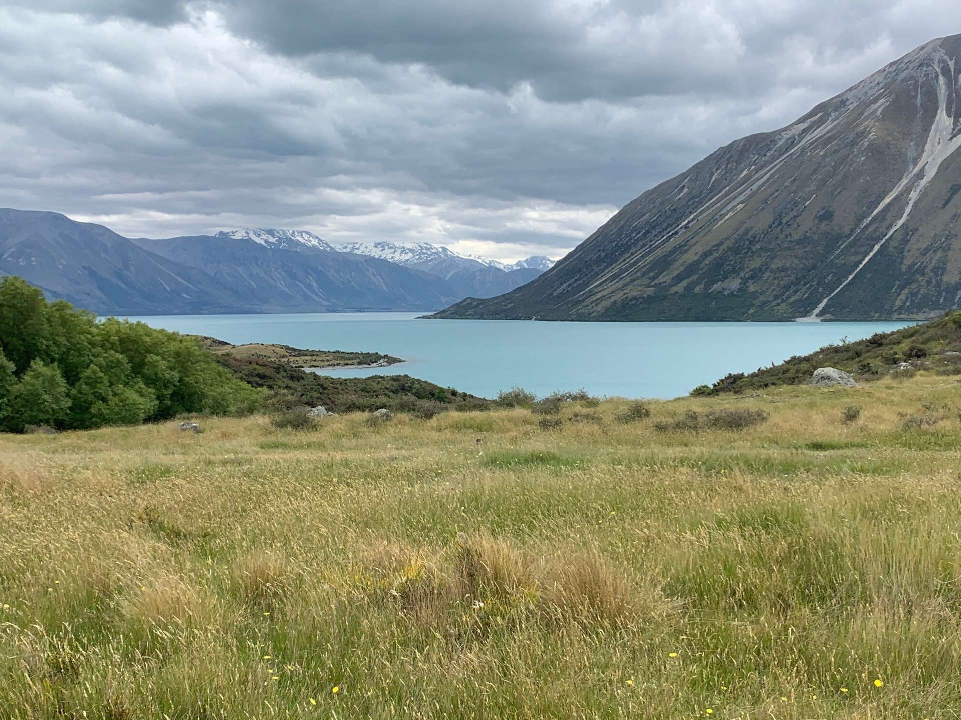 Lagoon Block, Ohau Downs Station Lake Ohau_0