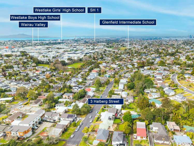 3 Halberg Street Glenfield_31