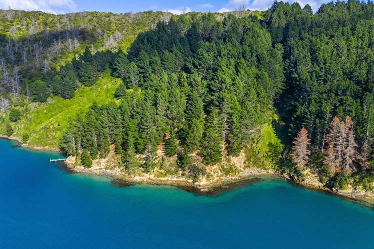 Lot 1 Maraetai Bay Queen Charlotte Sound_13